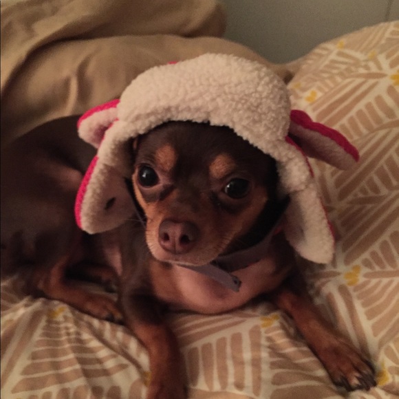 Meet your Posher, Ann-marie - Picture 2 of 7